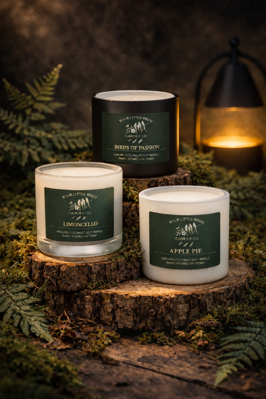 Wickless Candle Refills  (14 oz Edition)